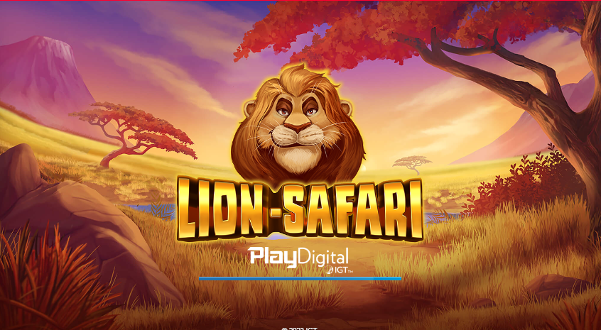 Lion Safari