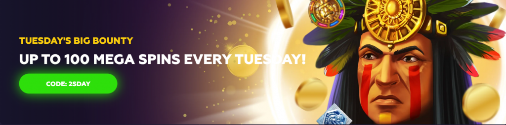 Tuesday MEGA Spins at Playfina Casino, Screenshot